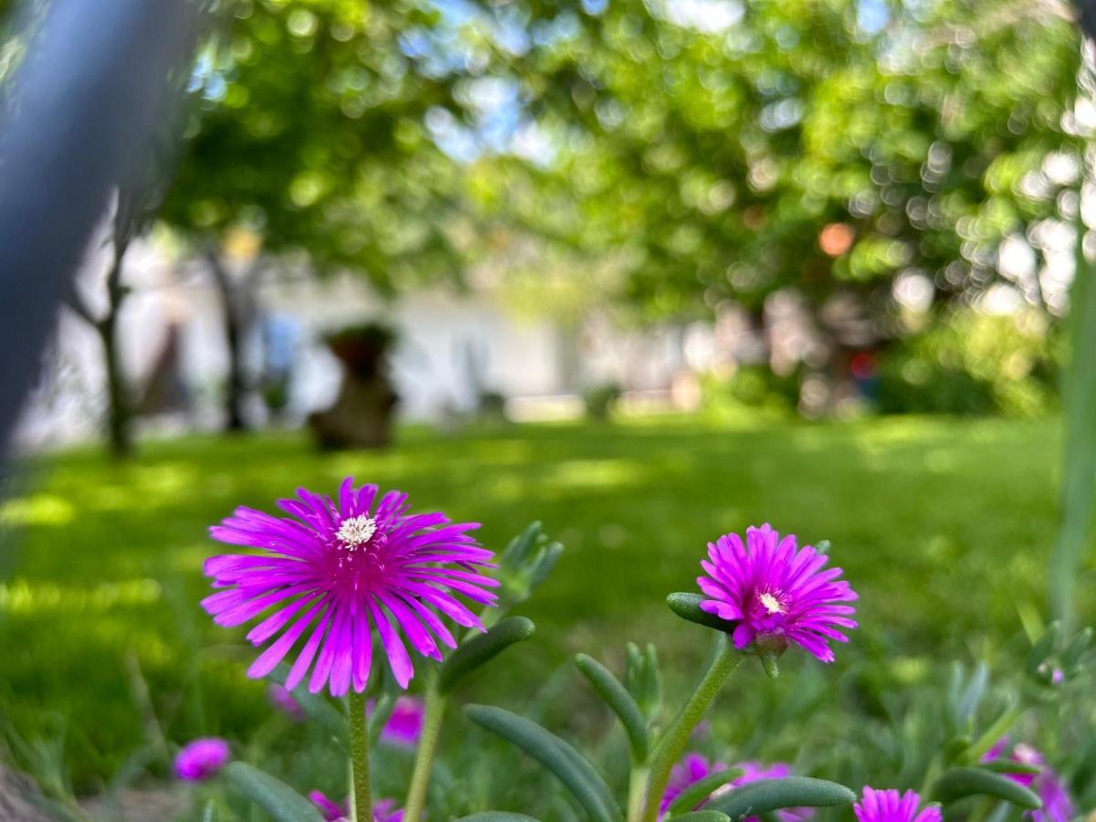 Apartment River Klis ภายนอก รูปภาพ